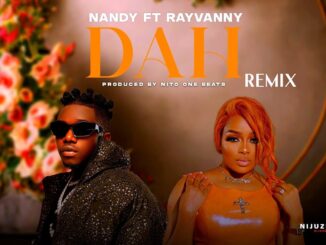 Nandy DAH Remix Mp3 Download